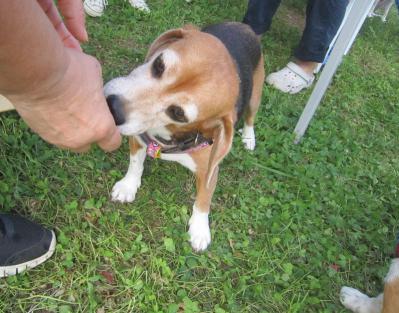 IMG_0323.jpg