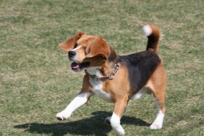 IMG_5322.jpg