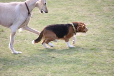 IMG_5456.jpg