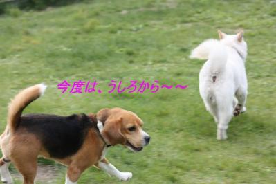 IMG_5895.jpg
