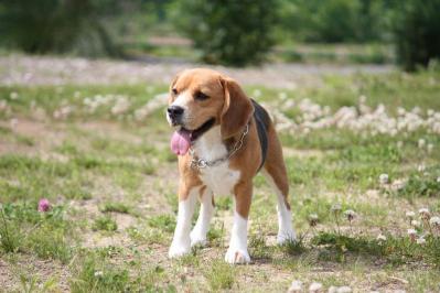 IMG_6332.jpg