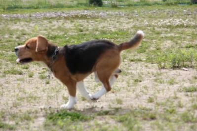 IMG_6337.jpg
