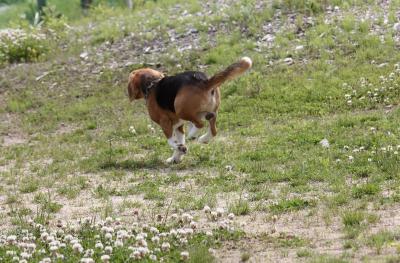 IMG_6342.jpg