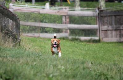 IMG_7349_1.jpg