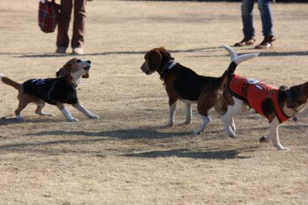 IMG_7893.jpg