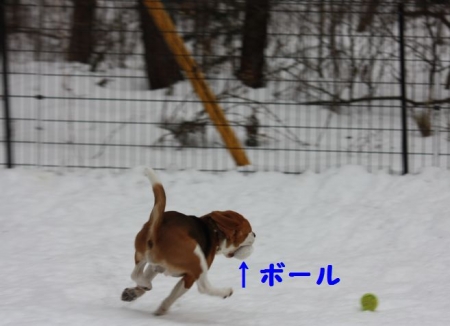 IMG_9234.jpg
