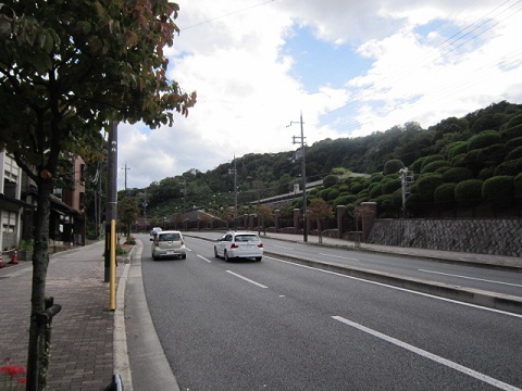 77-2.jpg