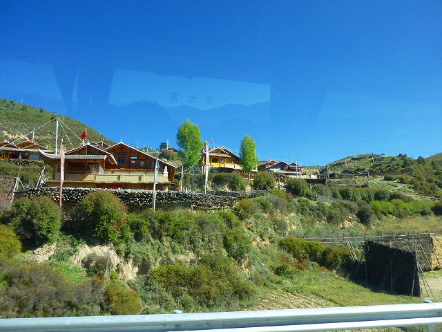 P1010729.jpg