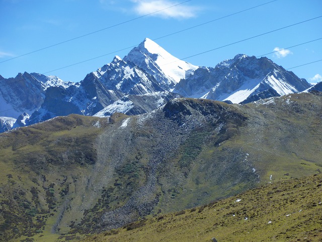 P1010740.jpg