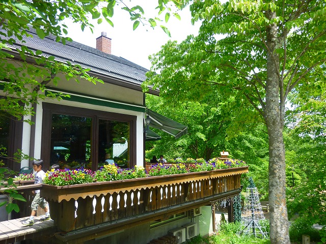 P1050142.jpg