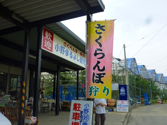P1050182.jpg