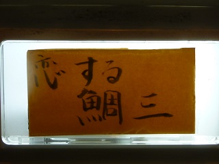 089_20130409193858.jpg