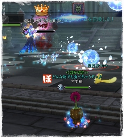 18サボテン