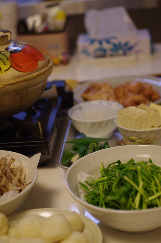 IMGP2728.jpg