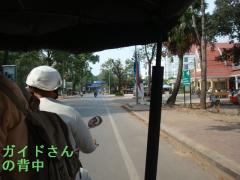 DSC02942b.jpg