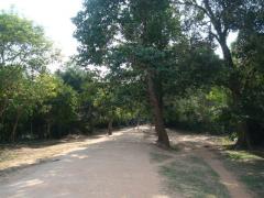 DSC03268b.jpg