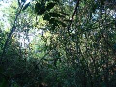 DSC03318b.jpg