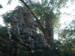 DSC03326b.jpg