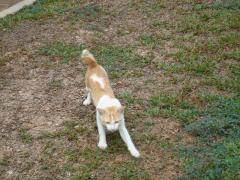 DSC03446b.jpg