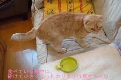 DSC03952b.jpg