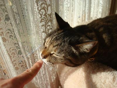 DSC03956b.jpg