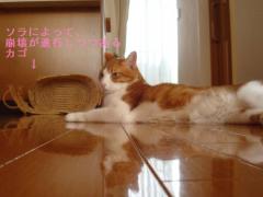 DSC03982b.jpg