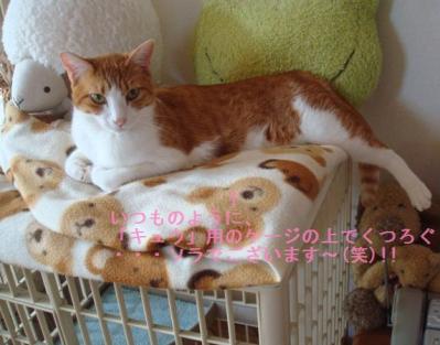DSC03993b.jpg