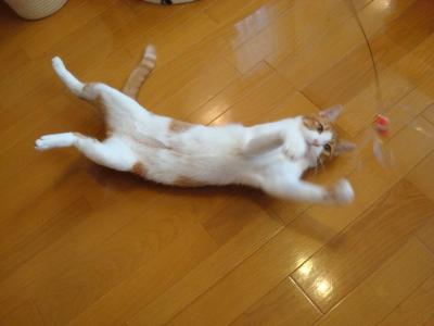 DSC04084b.jpg