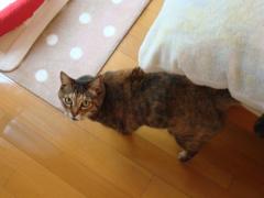 DSC04102b.jpg