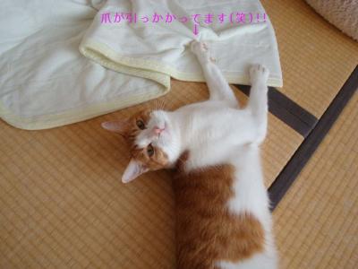 DSC04273b.jpg