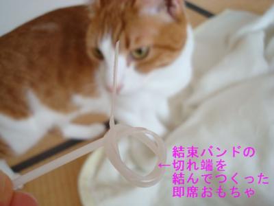 DSC04277b.jpg