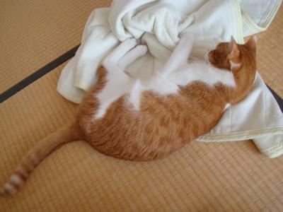 DSC04287b.jpg