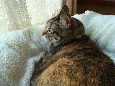DSC04518b.jpg