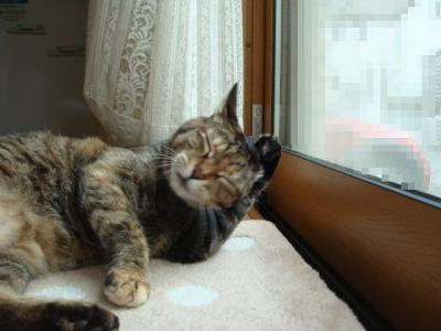 DSC04676b.jpg
