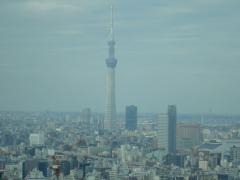 DSC04798b.jpg
