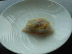 DSC04924b.jpg