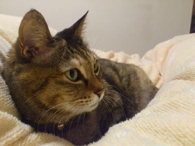 DSC_1723.jpg