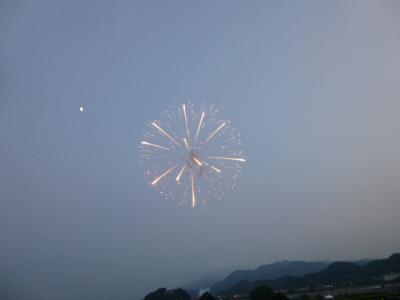P1000031.jpg
