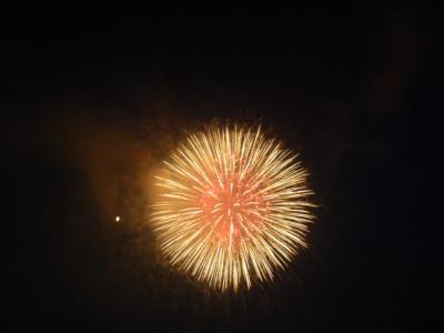 P1000037.jpg
