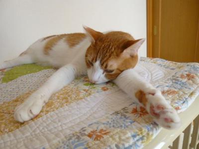 P1000724.jpg
