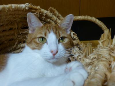 P1010160.jpg