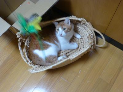 P1010166.jpg