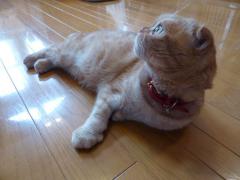 P1010184.jpg
