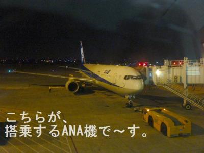 P1020217.jpg