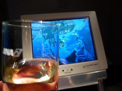 P1020236.jpg