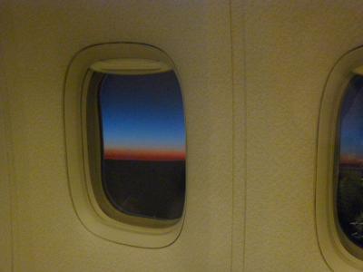 P1020238.jpg