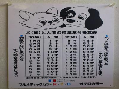 P1020295.jpg