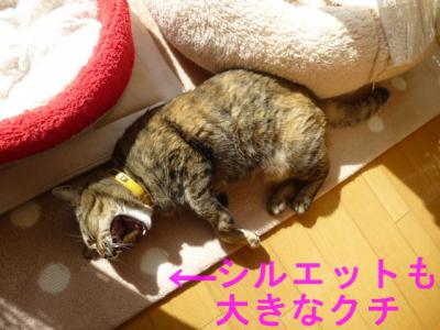 P1050274.jpg