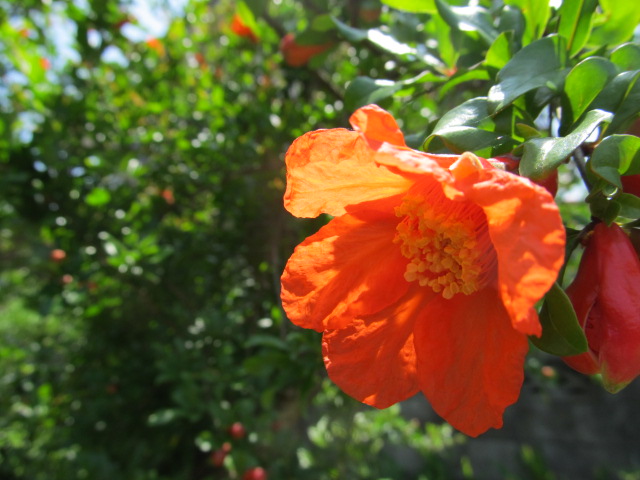 IMG_4057.jpg