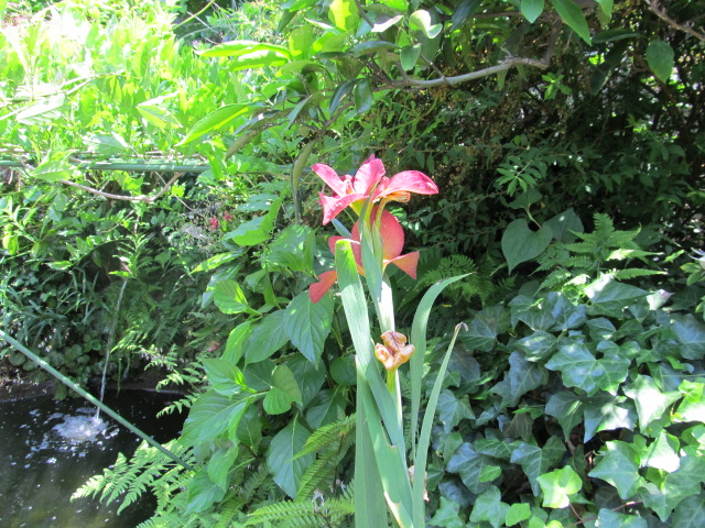 IMG_4062.jpg
